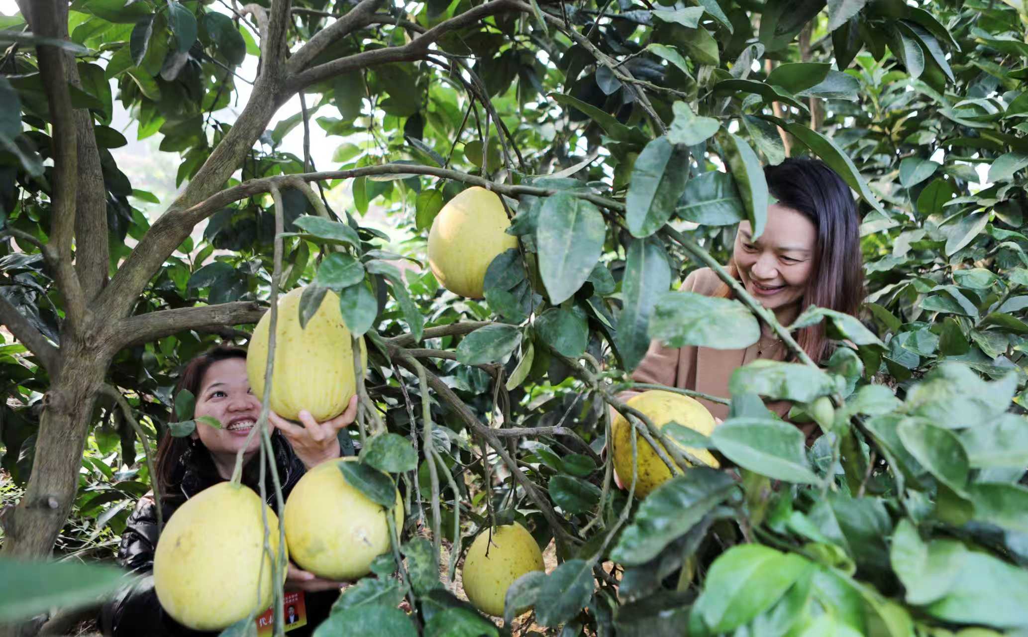 784d0614f777a416ebf888c95928e54f